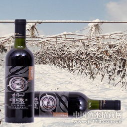 紫隆山紅寶石冰酒 品味時光凝萃，共創財富未來——通化紫隆山葡萄酒廠火熱招商